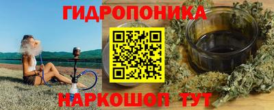 прущие крисы Будённовск