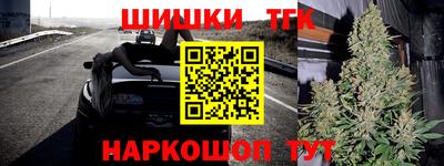 прущие крисы Будённовск