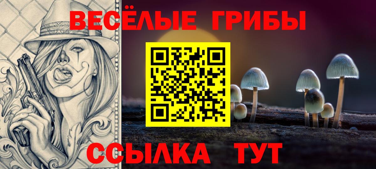 Псилоцибиновые грибы прущие грибы Ессентуки