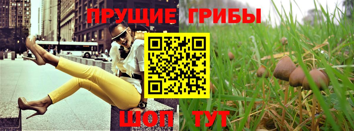 Галлюциногенные грибы мицелий  Галлюциногенные грибы Psilocybe  где продают наркотики  Ессентуки  Вход с VPN 